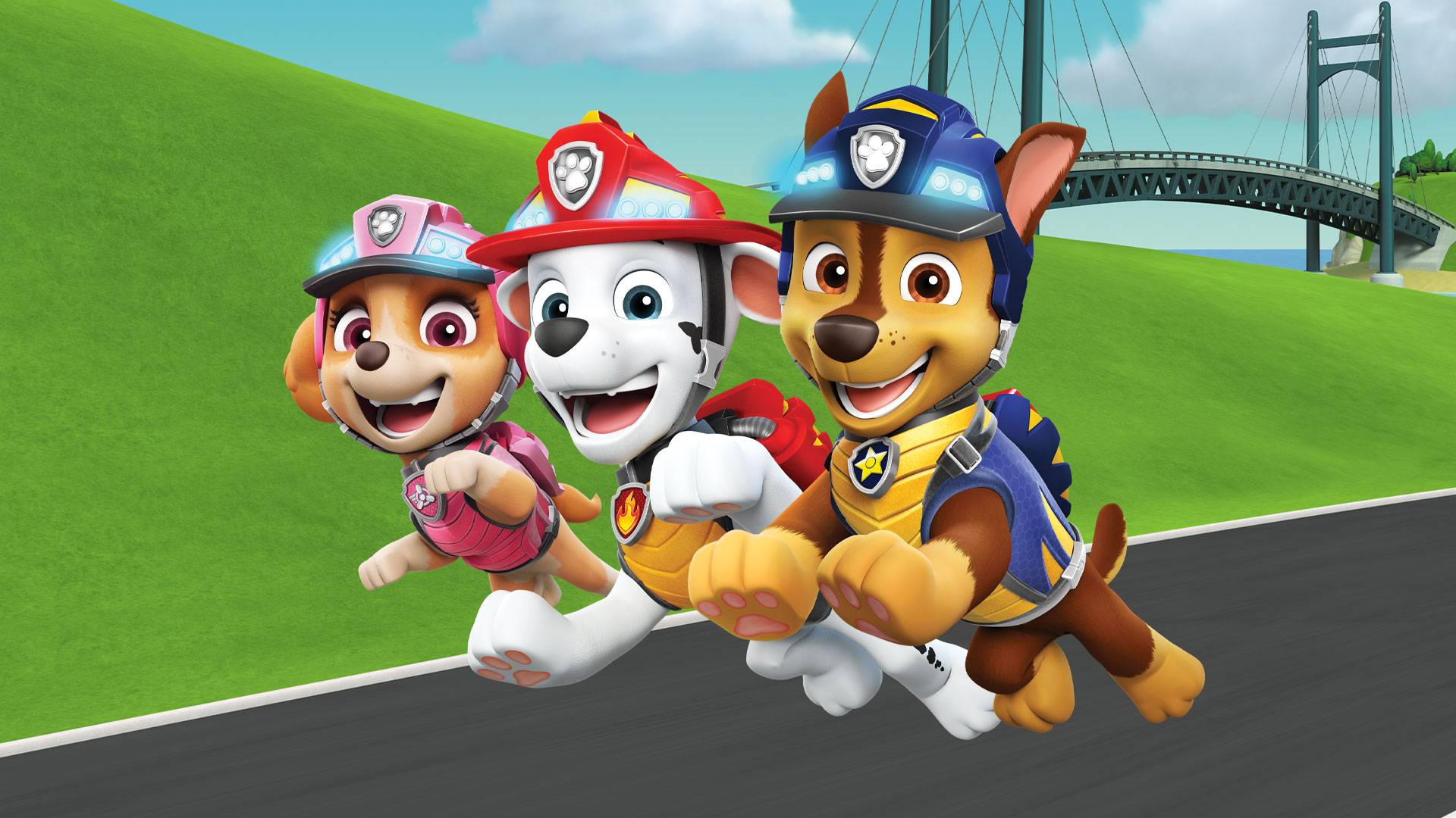 Paw Patrol S08 B19