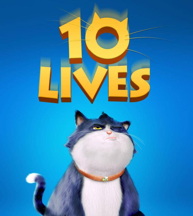 Meraklı Kedinin 10 Yaşamı